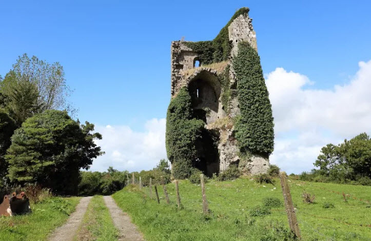 Ballymarkahan Castle, Republic of Ireland, Ireland